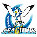 Okayama Seagulls (W)